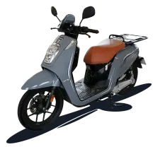 Scooter électrique professionnel NIPPONIA 50 E-VIBALL CARGO