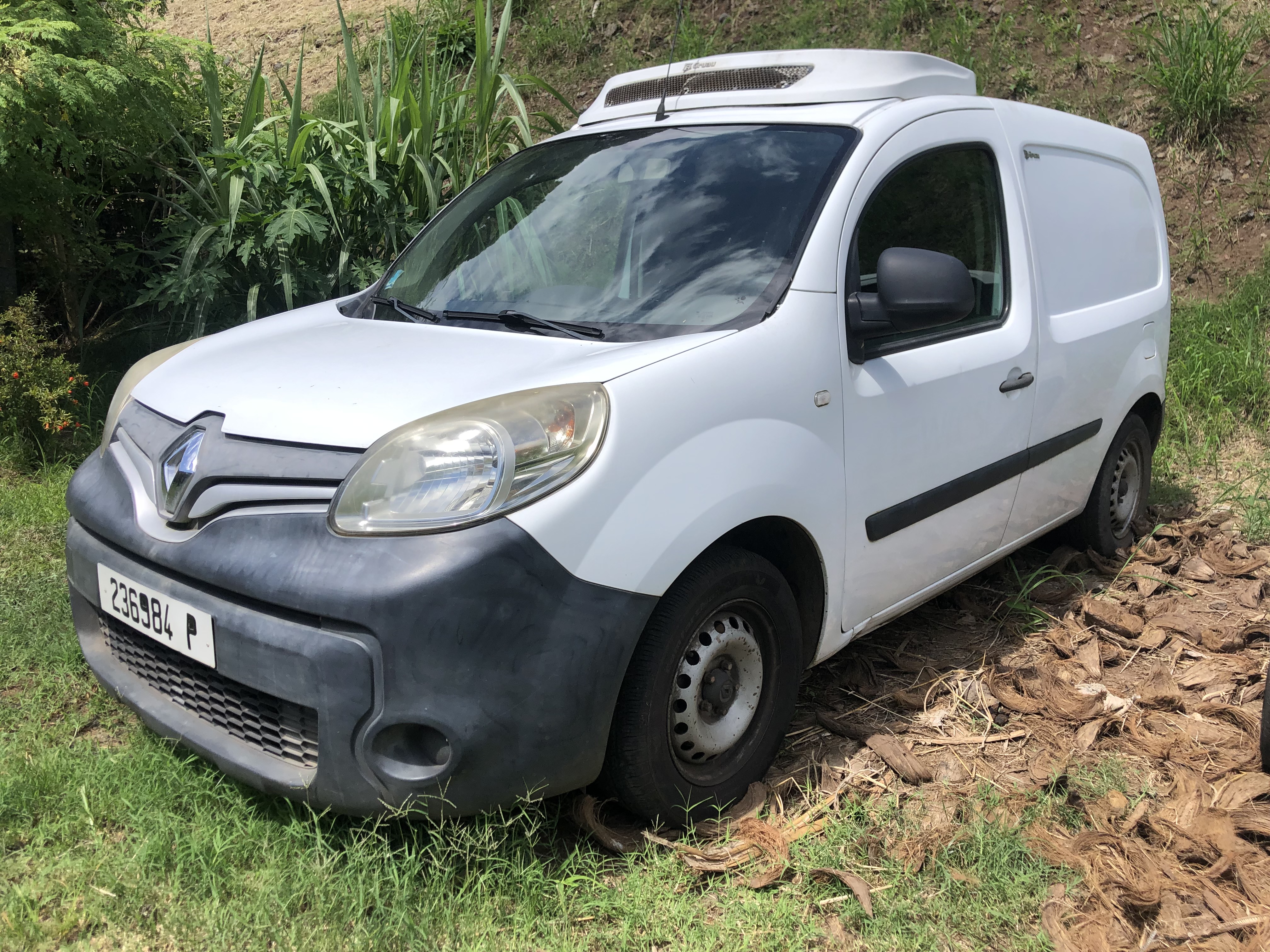 citroën kangoo utilitaire occasion tahiti